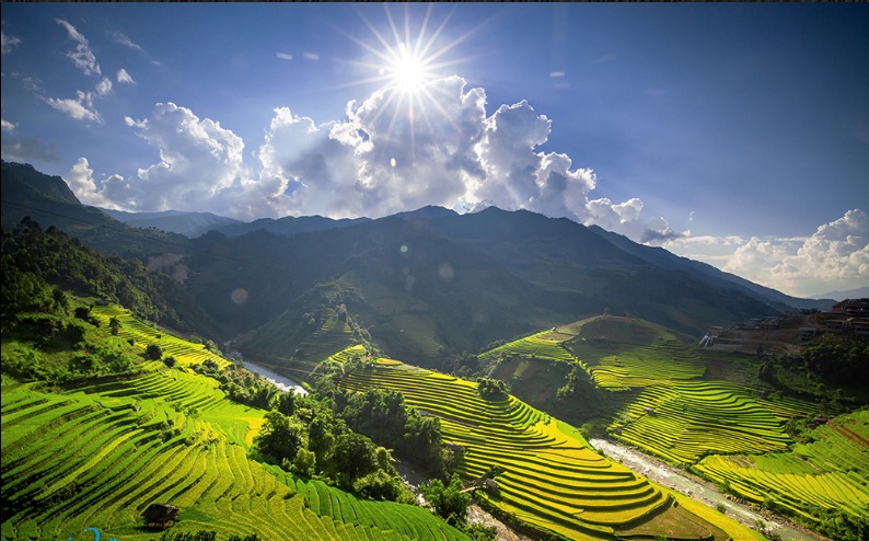 Du lịch Mù Cang Chải mùa lúa chín Du lịch Mù Cang Chải mùa lúa chín